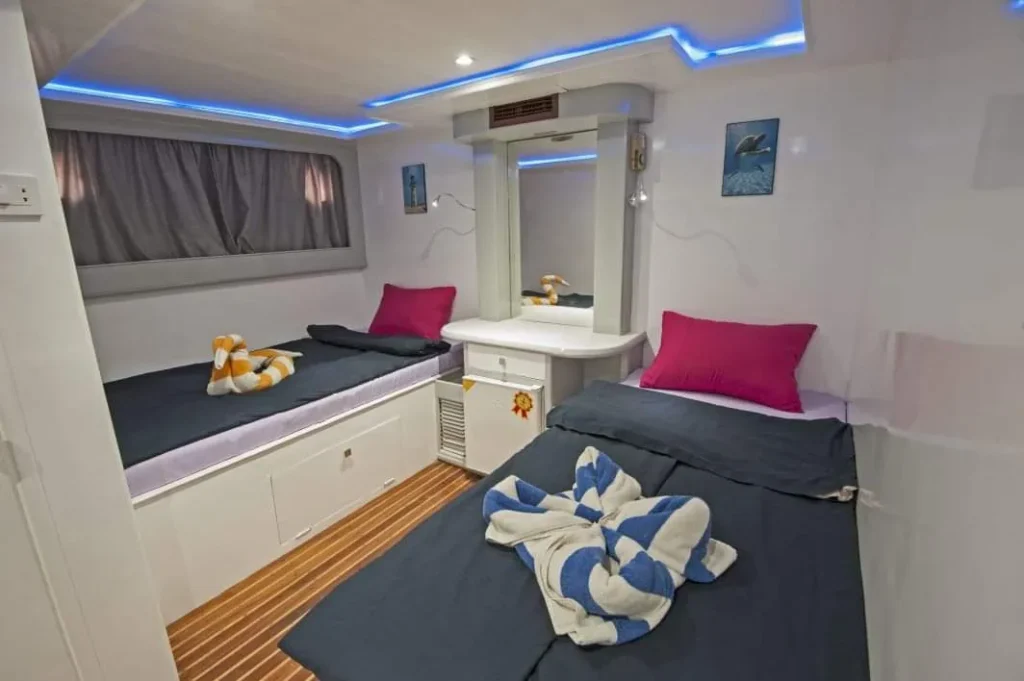 shared-cabin-c5d9fb8d